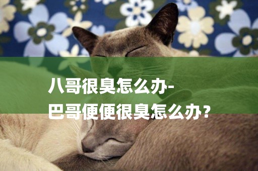 八哥很臭怎么辦-
巴哥便便很臭怎么辦？