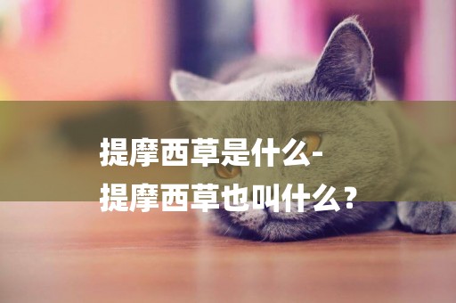 提摩西草是什么-
提摩西草也叫什么？