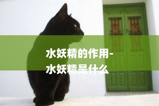 水妖精的作用-
水妖精是什么