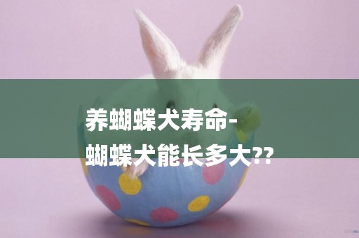 養蝴蝶犬壽命-
蝴蝶犬能長多大??