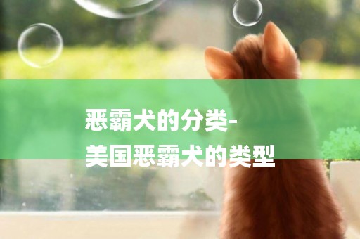 惡霸犬的分類-
美國惡霸犬的類型