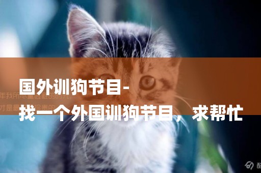 國外訓狗節目-
找一個外國訓狗節目，求幫忙