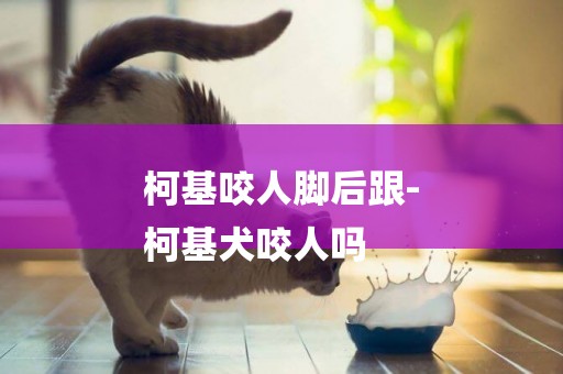 柯基咬人腳后跟-
柯基犬咬人嗎