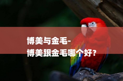 博美與金毛-
博美跟金毛哪個好？