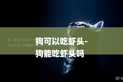 狗可以吃蝦頭-
狗能吃蝦頭嗎