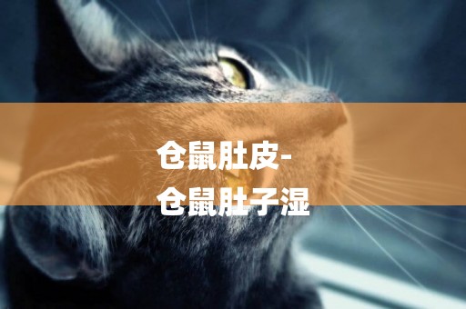 倉鼠肚皮-
倉鼠肚子濕