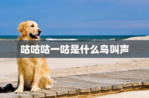 咕咕咕一咕是什么鳥叫聲