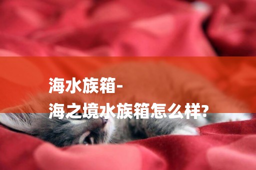 海水族箱-
海之境水族箱怎么樣?