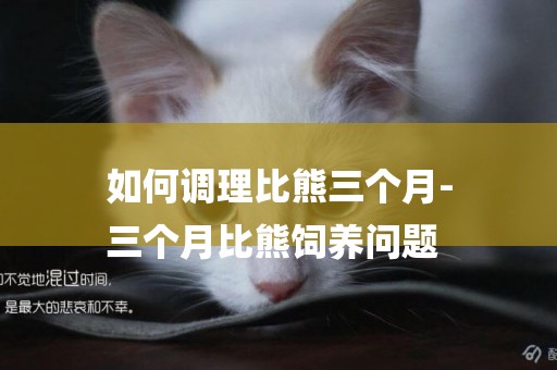如何調理比熊三個月-
三個月比熊飼養問題