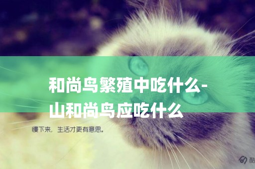 和尚鳥繁殖中吃什么-
山和尚鳥應吃什么