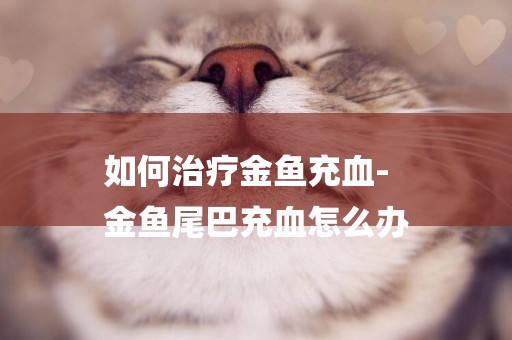 如何治療金魚充血-
金魚尾巴充血怎么辦
