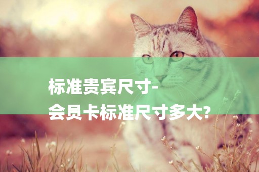 標準貴賓尺寸-
會員卡標準尺寸多大?