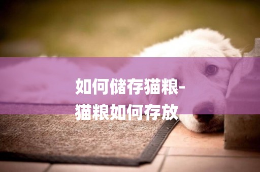 如何儲存貓糧-
貓糧如何存放