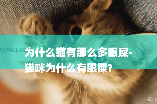 為什么貓有那么多眼屎-
貓咪為什么有眼屎?