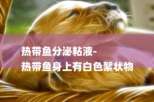熱帶魚分泌粘液-
熱帶魚身上有白色絮狀物