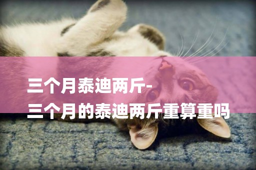 三個月泰迪兩斤-
三個月的泰迪兩斤重算重嗎