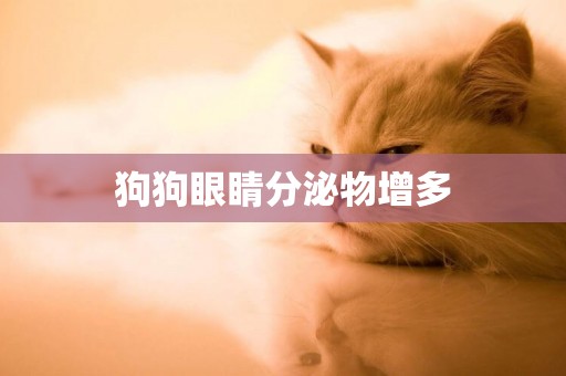 狗狗眼睛分泌物增多