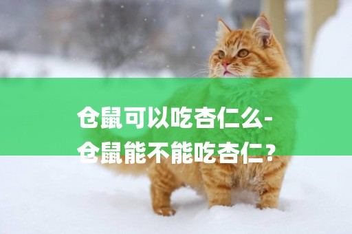 倉鼠可以吃杏仁么-
倉鼠能不能吃杏仁？
