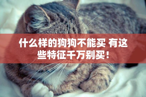 什么樣的狗狗不能買 有這些特征千萬別買！