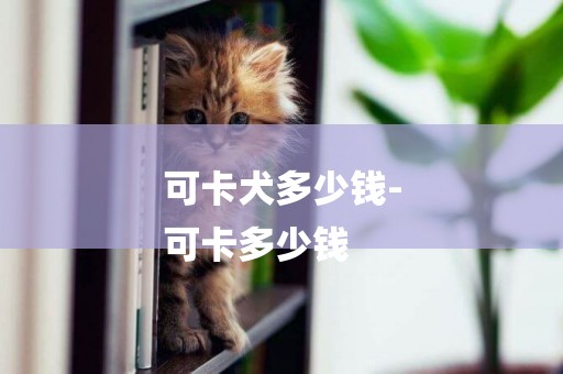 可卡犬多少錢-
可卡多少錢
