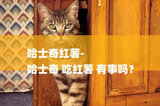 哈士奇紅薯-
哈士奇 吃紅薯 有事嗎？