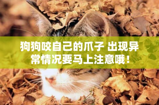 狗狗咬自己的爪子 出現異常情況要馬上注意哦！