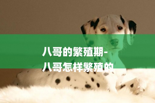 八哥的繁殖期-
八哥怎樣繁殖的