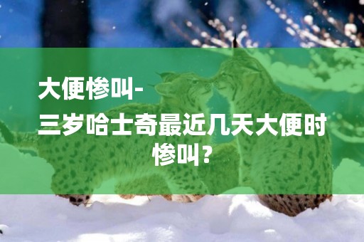大便慘叫-
三歲哈士奇最近幾天大便時慘叫？