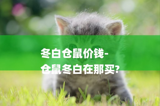 冬白倉鼠價錢-
倉鼠冬白在那買?