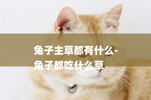兔子主草都有什么-
兔子都吃什么草