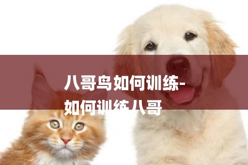八哥鳥如何訓練-
如何訓練八哥