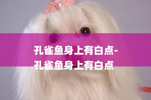 孔雀魚身上有白點-
孔雀魚身上有白點