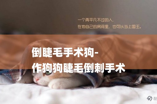 倒睫毛手術狗-
作狗狗睫毛倒刺手術
