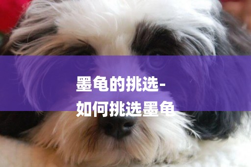 墨龜的挑選-
如何挑選墨龜