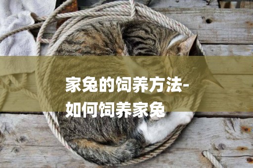 家兔的飼養方法-
如何飼養家兔
