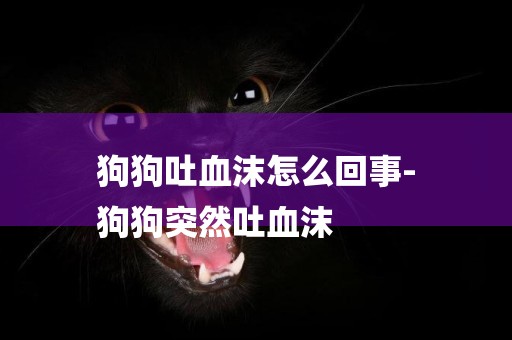 狗狗吐血沫怎么回事-
狗狗突然吐血沫