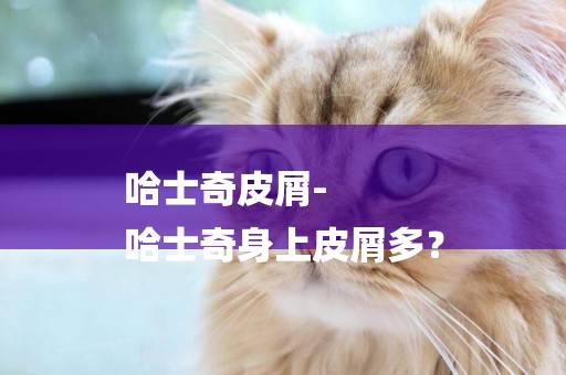 哈士奇皮屑-
哈士奇身上皮屑多？