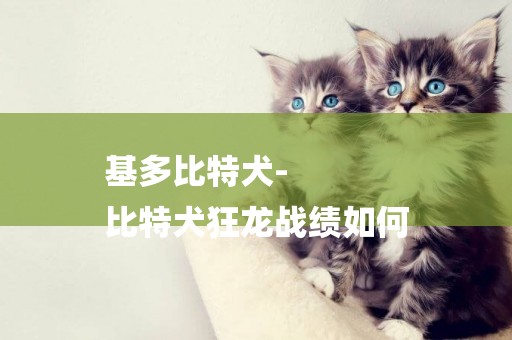 基多比特犬-
比特犬狂龍戰績如何