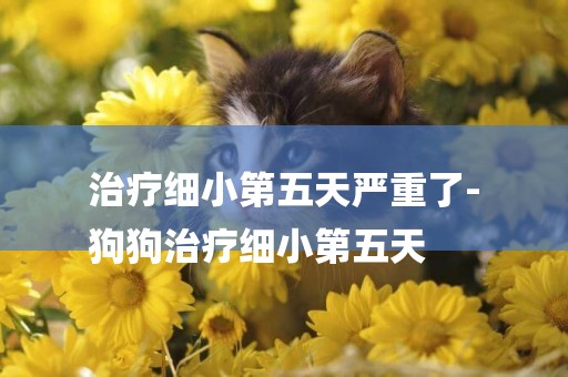 治療細小第五天嚴重了-
狗狗治療細小第五天