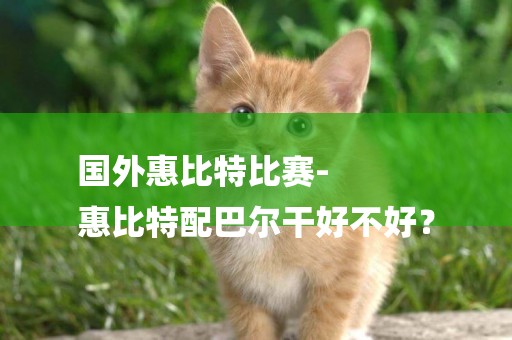 國外惠比特比賽-
惠比特配巴爾干好不好？