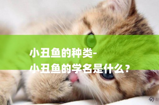 小丑魚的種類-
小丑魚的學名是什么？