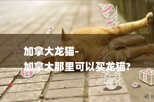 加拿大龍貓-
加拿大那里可以買龍貓?