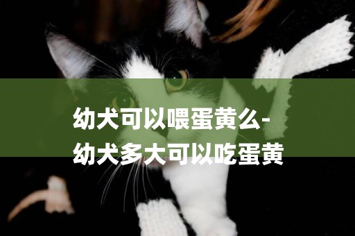 幼犬可以喂蛋黃么-
幼犬多大可以吃蛋黃