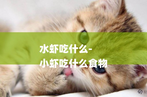 水蝦吃什么-
小蝦吃什么食物