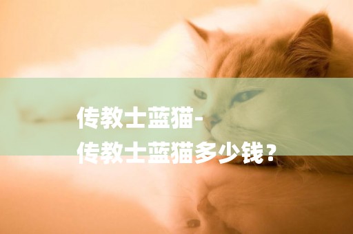 傳教士藍貓-
傳教士藍貓多少錢？