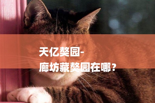 天億獒園-
廊坊藏獒園在哪？