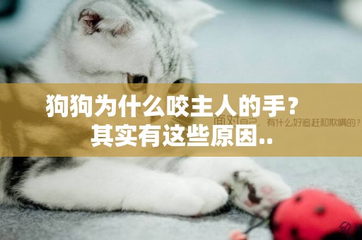 狗狗為什么咬主人的手？ 其實有這些原因..