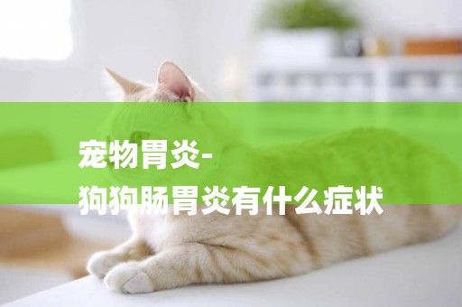 寵物胃炎-
狗狗腸胃炎有什么癥狀