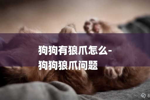 狗狗有狼爪怎么-
狗狗狼爪問題