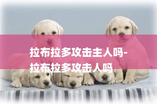 拉布拉多攻擊主人嗎-
拉布拉多攻擊人嗎
